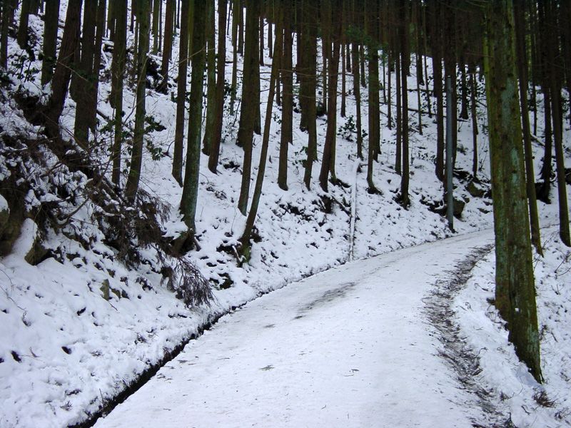 雪の林道と遊歩道を楽しみながら、いざ氷瀑へ！