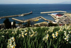 ˓Cƈʂ̐唨͂܂ɐiIQu{ԊJv̋LTlC