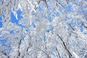 uǐт̖XƐጴyIQuMv̋LTlC