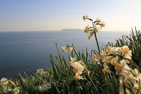 ~̒WHu单␅勽vňꑫty̋LTlC