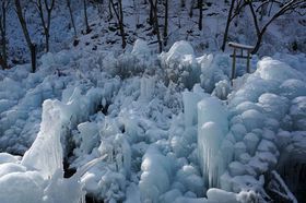 ̋␢EÂŔIuڂ̕Xv̋LTlC