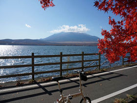 サイクリングで楽しもう！富士山と山中湖の美しい紅葉