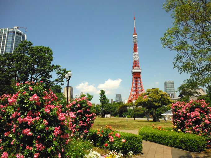 ６．東京タワーを撮るベストフォトスポット