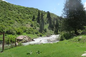 16km̎RŔ鋫ɍsILMXuAeBEAVv̋LTlC