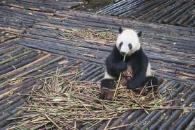 邵p_ɖ悤Iusp_Ɉ猤nv̋LTlC