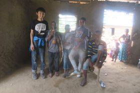 ϐg150cmȉƐEŏBEK_̃sO~[ɉɍsI̋LTlC