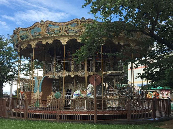 夏はイルカ体験もプールも みさき公園 は大阪市内から好アクセス 大阪府 トラベルjp 旅行ガイド