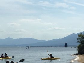 ΒSUPIЂl͔i΃W[̕ɂ̋LTlC