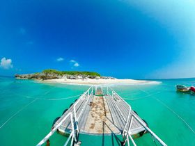 �u�R�}�J���l���v�󐣂ŔM�ы��ƗV�ׂ鉫��{���̌���r�[�`�̋L���T���l�C��