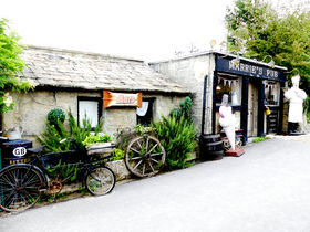 CMX̑s!?hDgŖ̂悤ȂЂƎ̋LTlC