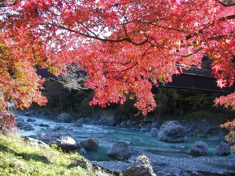 東京の奥座敷・奥多摩「御岳渓谷」で出会う紅葉と水、そしてオオカミも！