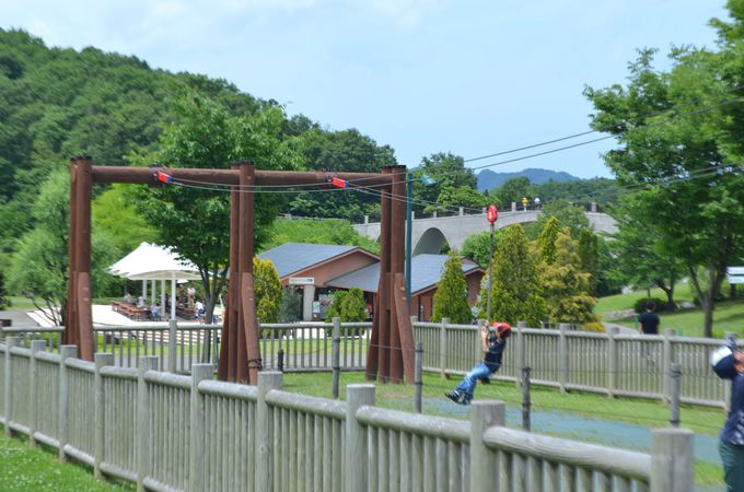 {Ci{BjōőK͂ƂȂLȌ