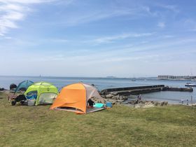 ItV[Y肽ItR̃r[`߃X|bg̓RR̋LTlC