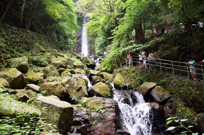必見！日本の滝百選の「養老の滝」