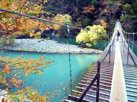 絶景“夢の吊り橋”は必訪！紅葉と共に楽しむ静岡「寸又峡」