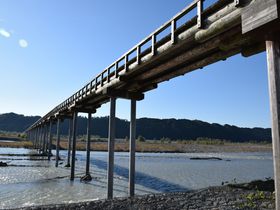 今、静岡の橋が面白い！ぜひ渡ってみたい静岡お勧めの橋５選