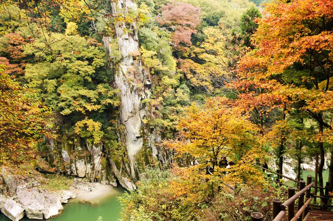 絶景散策 長野県天竜峡で美しき渓谷と紅葉散策を楽しむ 長野県 Lineトラベルjp 旅行ガイド