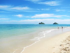 ����ŊԈႢ�Ȃ��I�z�m��������̃J�C���A���A���ԃR�[�X�̋L���T���l�C��