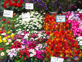 ���q�ɂ��������߁I5����6���Ō�̏T���͐󑐂́u�A�؎s�v��v�`�F�b�N�̋L���T���l�C��