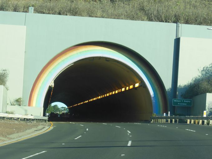 森林浴の前に注目！虹色のトンネル