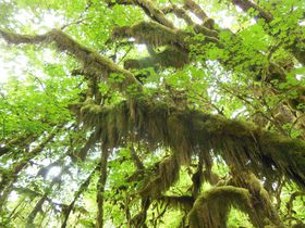 ���E��Y�ƕX�͂Ɖ���ƁI�āE�I�����s�b�N���������͌������ڂ̋L���T���l�C��