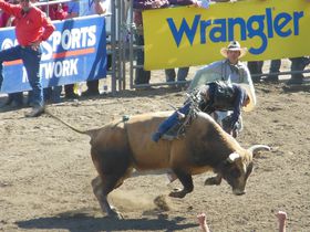 fIƗVnƉ̃t[hIăVgBőCxguXe[gtFAv̋LTlC