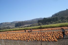 IWFɐ܂HIJtHjÃpvLEtFXeBőLTlC