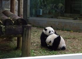 oq̃p_߂IAg^Ŏ̎Ԃ̋LTlC