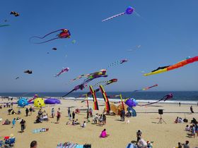 �j���[���[�N������A����I�u�W���[�W�[ �V���A�v�ŃJ���t���ȑ吼�m�𖞋i�̋L���T���l�C��