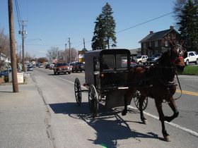 ɂ̃GRɊIăyVxjABŃA[~bV̑K˂̋LTlC