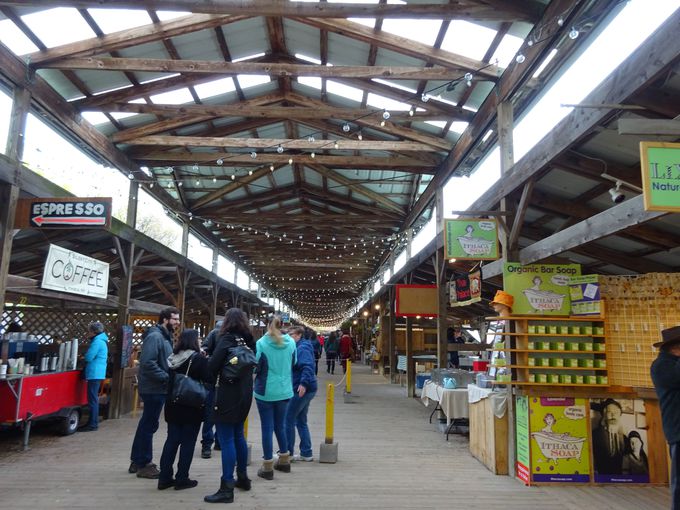 ېFLȃt@[}[Y}[Pbgƒn̐lCX