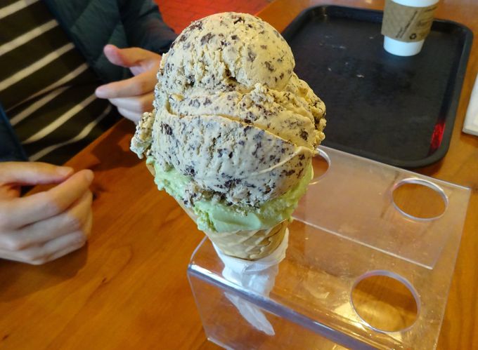 ېFLȃt@[}[Y}[Pbgƒn̐lCX