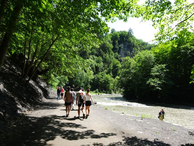 ���̃i�C�A�K���̑���������u�^�K�m�b�N��v