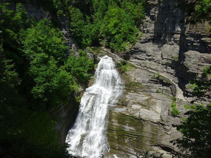 �⓹������Ċӏ܂����i�u���V�t�@�[��v