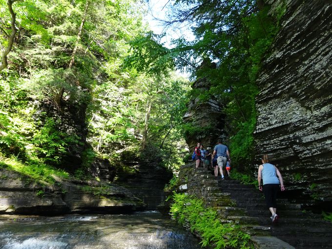 �o�^�[�~���N�̂悤�ɔ����A���u�o�^�[�~���N��v