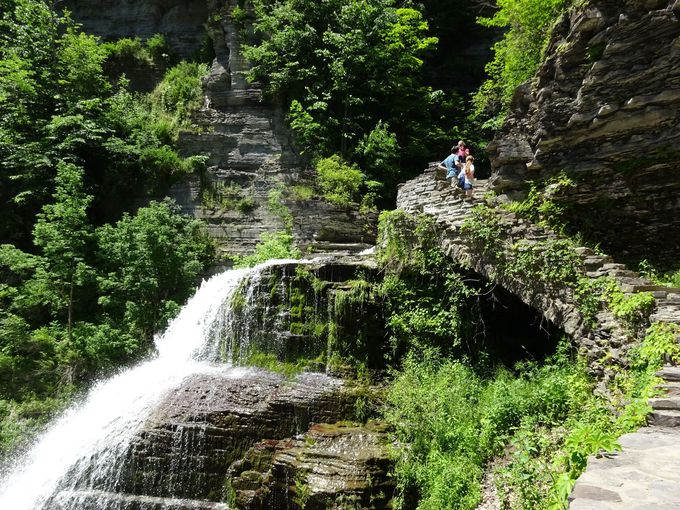 �⓹������Ċӏ܂����i�u���V�t�@�[��v