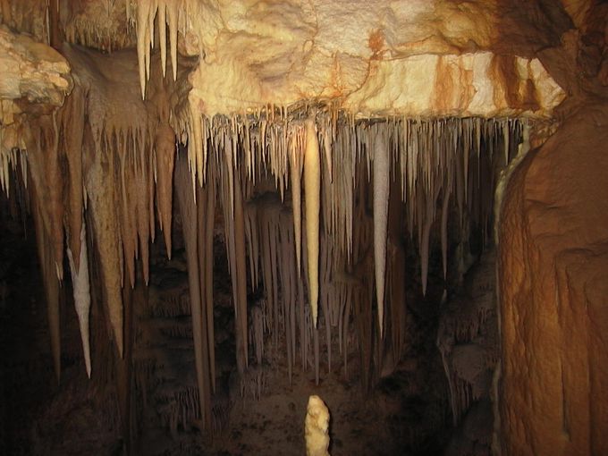島内最大の鍾乳洞　星野洞