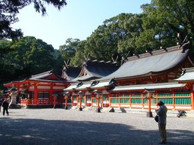 ���E��Y�̌F��O�R��K�₵�A�S�g�Ƃ��Ƀ��t���b�V���I�̋L���T���l�C��