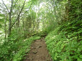 W1800[gI˂̔铒u͉vƏ̑߂̋LTlC