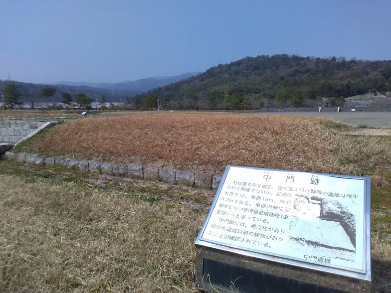 �L��ȕ~�n�ɍL������Z�������՗��j����