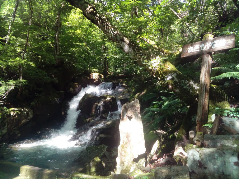 VR̃N[[̗ƐSn悢~XgV[