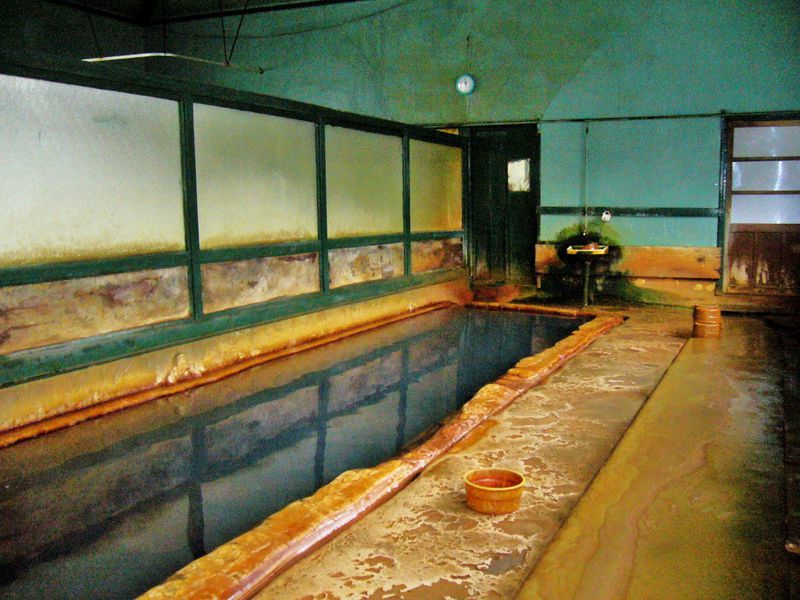 炭酸を含む温泉成分濃厚な混浴の露天風呂「加賀井温泉　一陽館」
