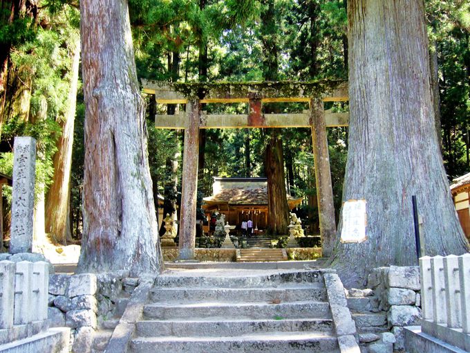 室生の信仰の始まりの地、雨と水をつかさどる龍神を祀る「室生龍穴神社」