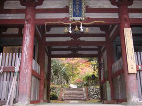 ̂ނقǔAgt̒ցAOg݂߂̈̋LTlC