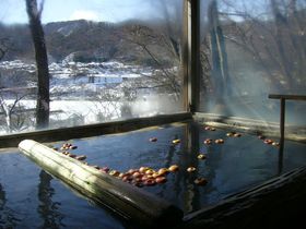 「初恋」の香りのりんご風呂！藤村ゆかりの宿・信州小諸「中棚荘」