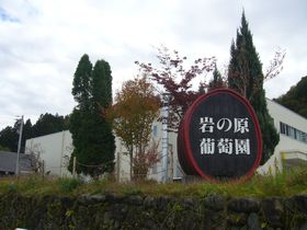 新潟はワインも美味い！上越の老舗ワイナリー「岩の原葡萄園」