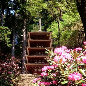 ޗǍsqɃIXXIVNiQɍʂ鏗luv̋LTlC