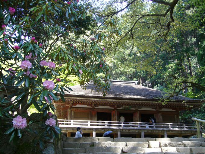室生寺最大の魅力「金堂」に雅な仏たちが集う