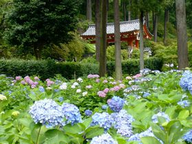 OˎŃAWTCG\I䂩̒nuFv̋LTlC