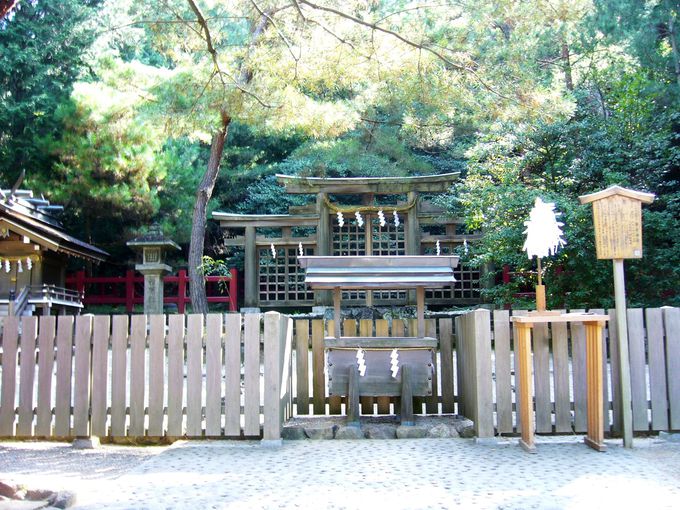 三つの鳥居が連結した独特の形の三ッ鳥居は必見「檜原神社｣